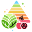 nutrition & diet program